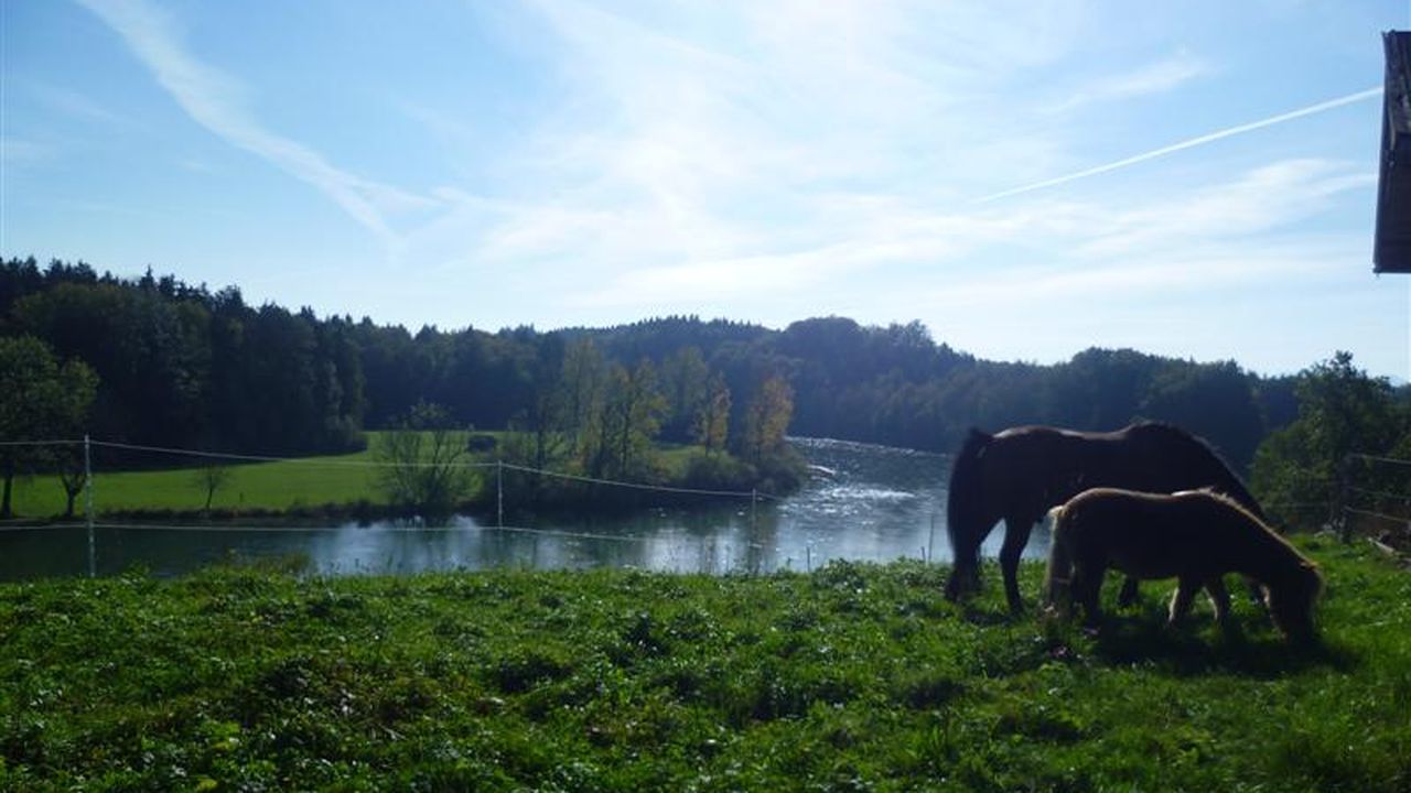 Blick zur Alz Blick zur Alz